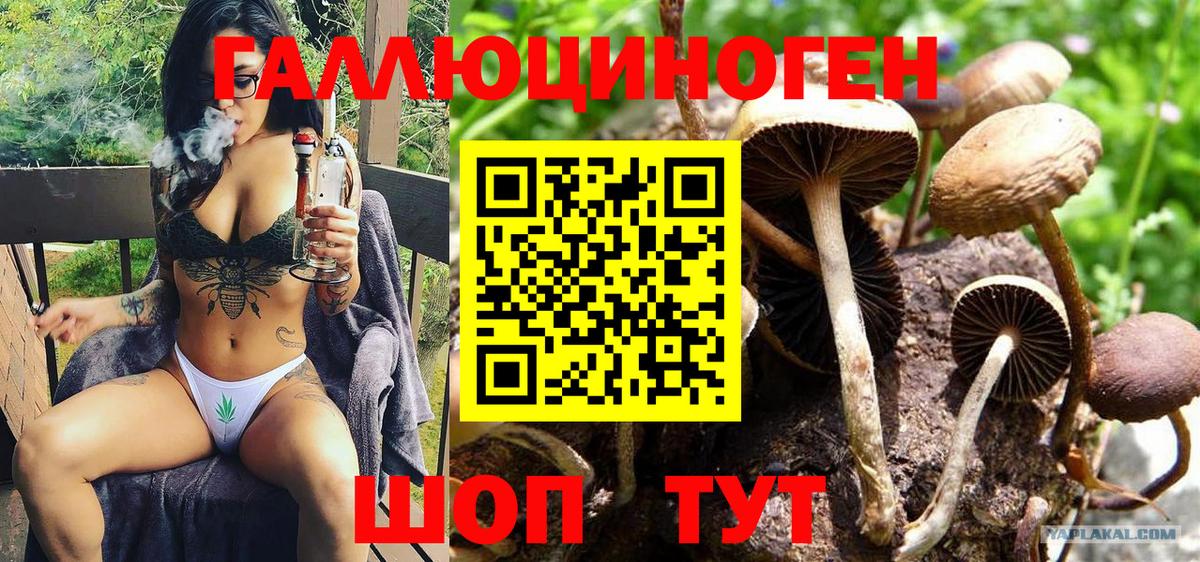 наркотики  Вход с VPN  Сатка  Галлюциногенные грибы мухоморы 