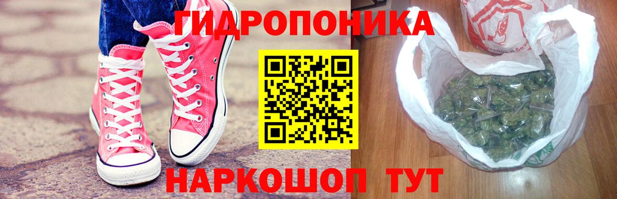 Канабис сатива  Каннабис планчик  Сатка  Шишки марихуана White Widow  Вход с VPN 